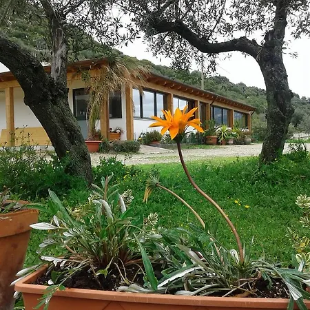 Lantgård Locoe Oliena